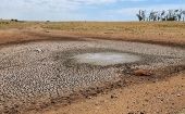Se prevé que los impactos de la sequía disminuyan las cosechas en más de un millón de toneladas con respecto al 2022.