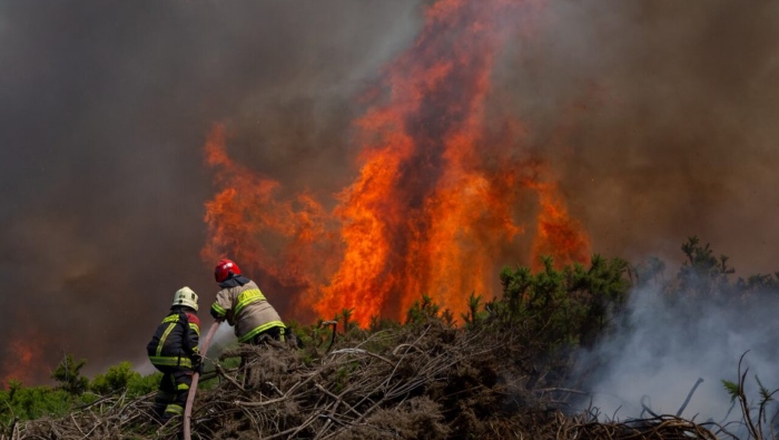 Bío Bío, Ñuble y La Araucanía permanecen en Estado de Catástrofe cuando se reportan 251 incendios activos.