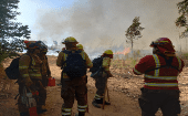 El Servicio Nacional de Prevención de Emergencias (Senapred) de Chile, publicó la existencia de 207 incendios forestales activos en todo el país.
