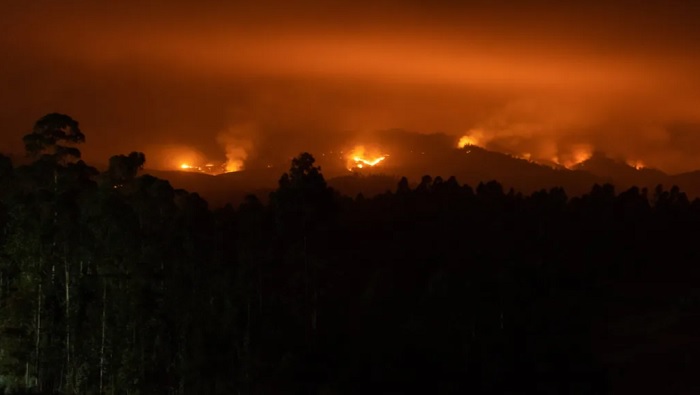 En total, 440.976,71 hectáreas se han afectado por los fuegos, mientras Biobío con 209.646,67 tiene el mayor número de hectáreas quemadas. 