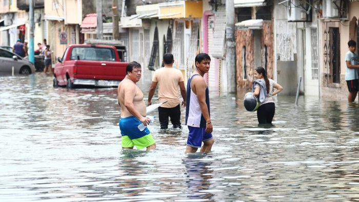 Una de las ciudades ecuatorianas más afectadas por las inundaciones ha sido Guayaquil. Asimismo, la mayor parte de agricultores damnificados son de la provincia de Guayas.