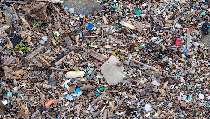 El informe propuso acciones para lidiar con el legado de la contaminación provocada por los plásticos.