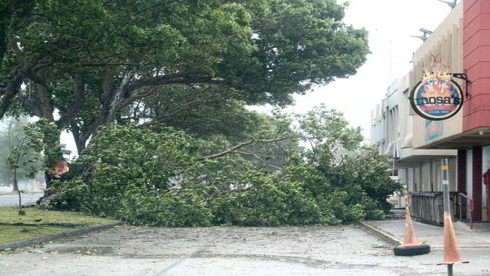 Debido a la fuerza de sus vientos, el tifón ya causaba daños a la vegetación local cuando aún se acercaba a la isla.