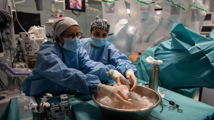Aunque los trasplantes de riñón de donantes vivos son comunes, los trasplantes de hígado de donantes vivos son más inusuales.