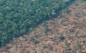 Durante la presidencia de Bolsonaro en Brasil, la deforestación anual promedio en la Amazonía brasileña aumentó en más del 75 por ciento, en comparación con la década anterior.