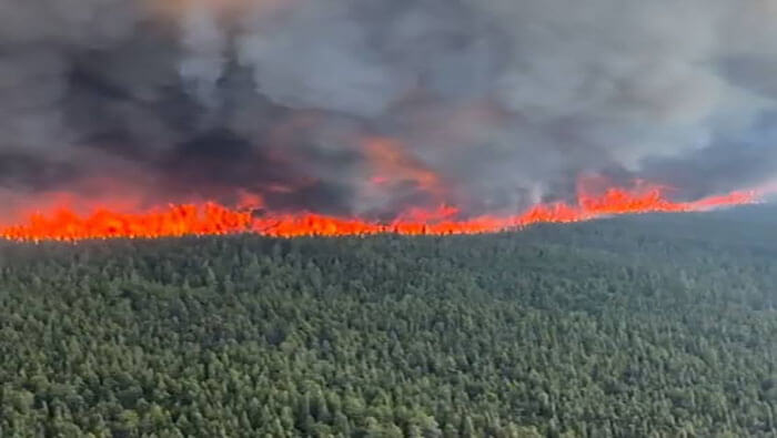 Desde inicios del 2023, alrededor de 28.700 kilómetros cuadrados han sido consumidos por los incendios forestales en Canadá.