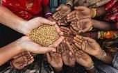 Según las estimaciones, casi el 20 por ciento de la población en África pasa hambre, frente al 8,5 por ciento en Asia, el 7 en Oceanía y el 6,5 en América Latina y el Caribe.