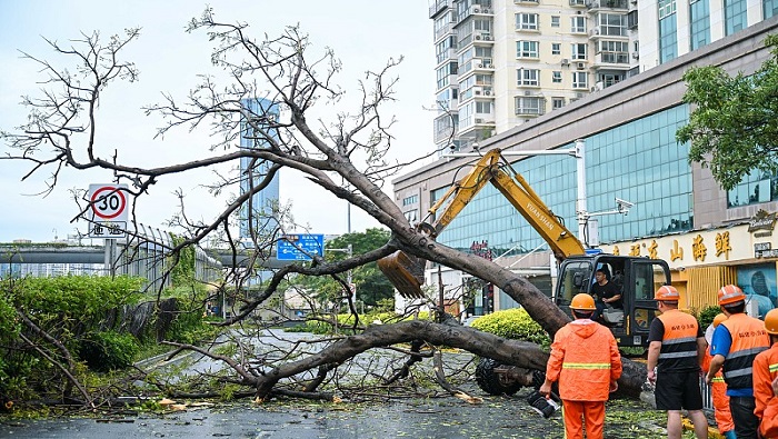 Los vientos fuertes del tifón causaron significativos daños en China, con líneas eléctricas averiadas, árboles arrancados y techos destruidos.