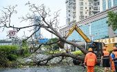 Los vientos fuertes del tifón causaron significativos daños en China, con líneas eléctricas averiadas, árboles arrancados y techos destruidos.