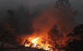 Actualmente, el país registra 1.052 incendios forestales activos de los que 668 están fuera de control.
