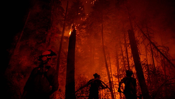 Se declaró el estado de emergencia en la provincia de Columbia Británica que exhibe unos 388 incendios forestales activos.
