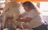 Yesenia Lucena ordeñando cabras. Ella estudió para especializarse como capricultora. Junto a su familia, proporcionan a las cabras el cuido completo; cada tres meses les dan sus vacunas y cumplen con un estricto control sanitario.