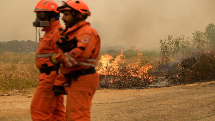 Hasta el momento, se han reportado más de 20 muertos por el incendio en el departamento de Evros, donde está el parque natural de Dadia (noreste).