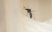 La enfermedad transmitida por mosquitos puede progresar a dengue grave, así como provocar insuficiencia orgánica.