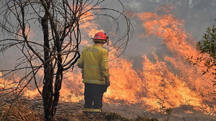 Las llamas han consumido en total más de 3 millones de hectáreas, la mayor parte en el departamento del Beni.