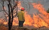 Las llamas han consumido en total más de 3 millones de hectáreas, la mayor parte en el departamento del Beni.