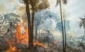 Según expertos, estos incrementos de focos de calor ocurren debido a una grave sequía en la Amazonía, la cual puede ser histórica.