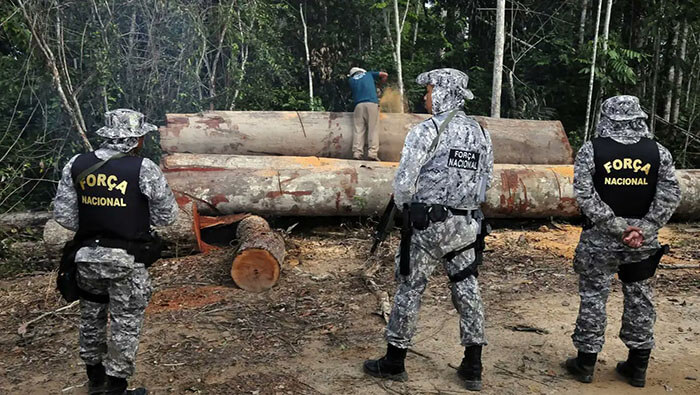 El Ministerio de Justicia y Seguridad Pública autorizó la presencia del cuerpo de seguridad en tres operaciones en curso en la región de la Amazonía.