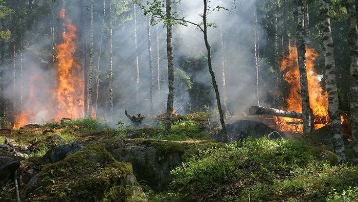 Los incendios forestales han afectado a 1.023 personas, 405 familias, 2.131 hectáreas y algunos departamentos.