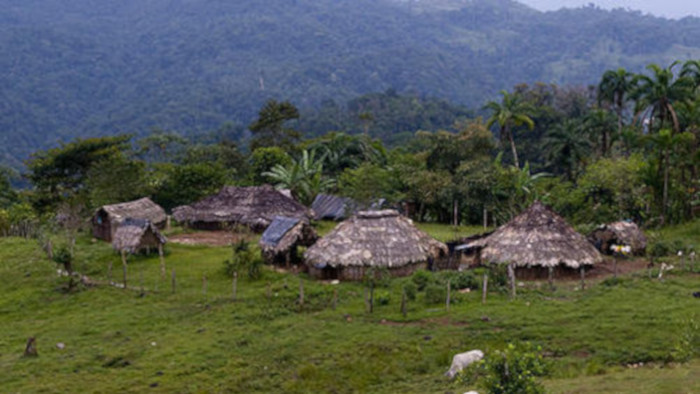 Rojas fue asesinado por desconocidos, en su casa de la comunidad de Yery, ubicada en el territorio indígena de Salitre, en el sur de Costa Rica, con arma de fuego en marzo de 2019.