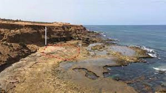 las huellas están orientadas principalmente hacia el mar, distribuidas sobre una superficie rocosa de unos 2.800 metros cuadrados.