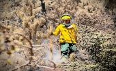 Autoridades de Colombia aseguran que al menos el 95 por ciento de los incendios que se registran son provocados.