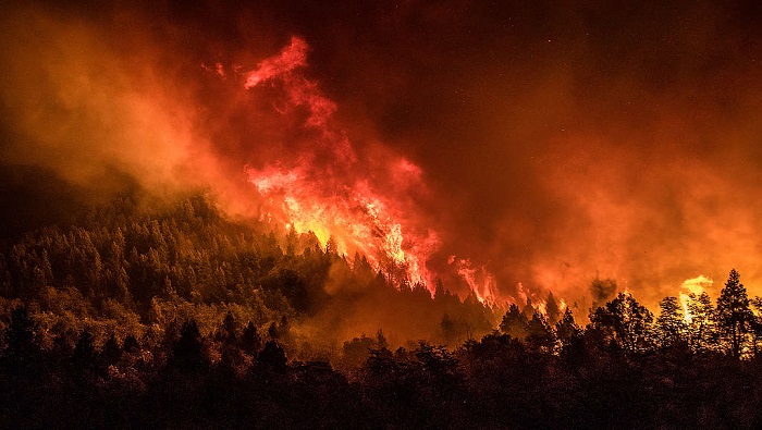 El 30 de enero más de 1.800 hectáreas habían sido arrasadas por el fuego en Chubut.