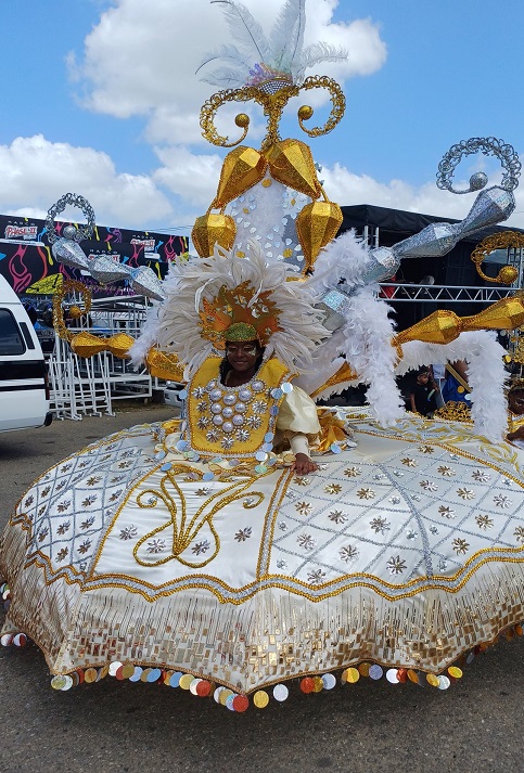 Confeccionados tras largas jornadas, los vestuarios son muy elaborados y creativos. Reflejan las tradiciones populares y el amor por el carnaval de sus artífices.