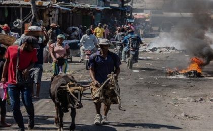 Según ACNUR, a mediados de 2023, documentó 312.000 personas haitianas refugiadas y solicitantes de asilo en todo el mundo
