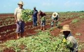 Cuba, una Isla bloqueada que articula pueblos