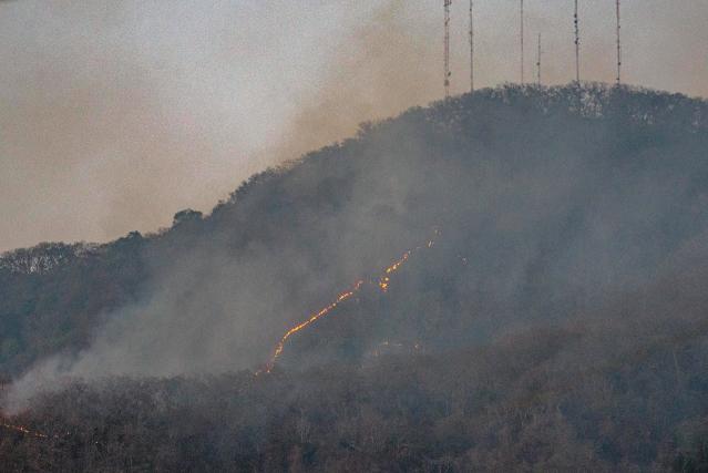 Los territorios de Veracruz, Nuevo León, Jalisco, Michoacán y el Estado de México han enfrentado intensos eventos dentro de sus áreas boscosas, que han provocado un desastre ecológico de grandes magnitudes.