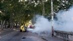 El país reporta un total de 804 casos de dengue, cifra que no solo supone un récord para el año, sino que por primera vez Uruguay.